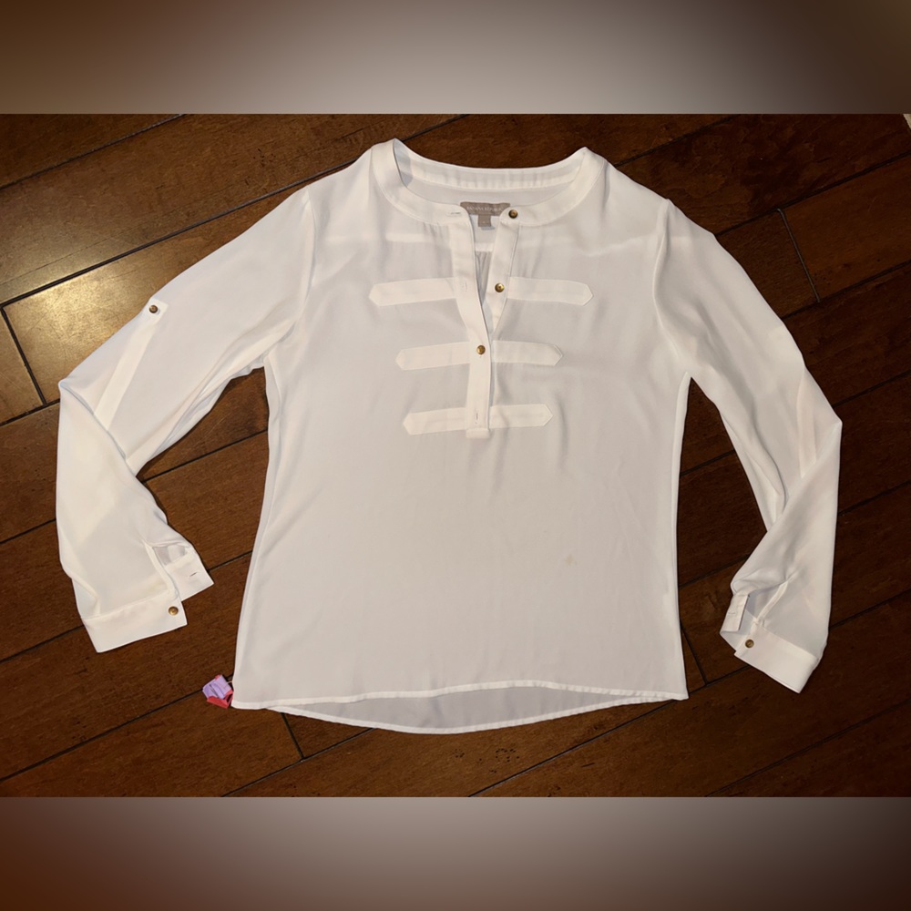 Banana Republic sheer blouse